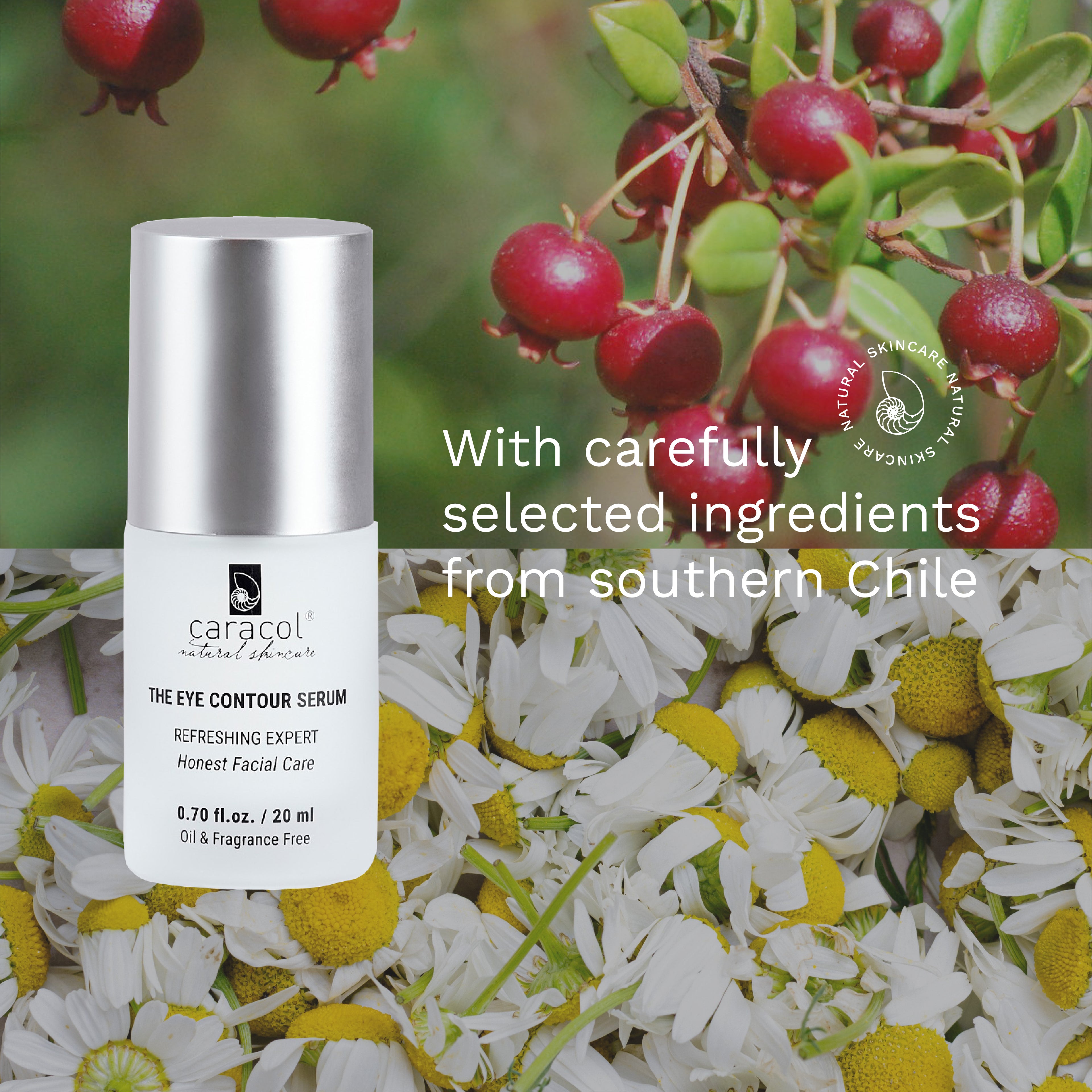 The eye contour serum