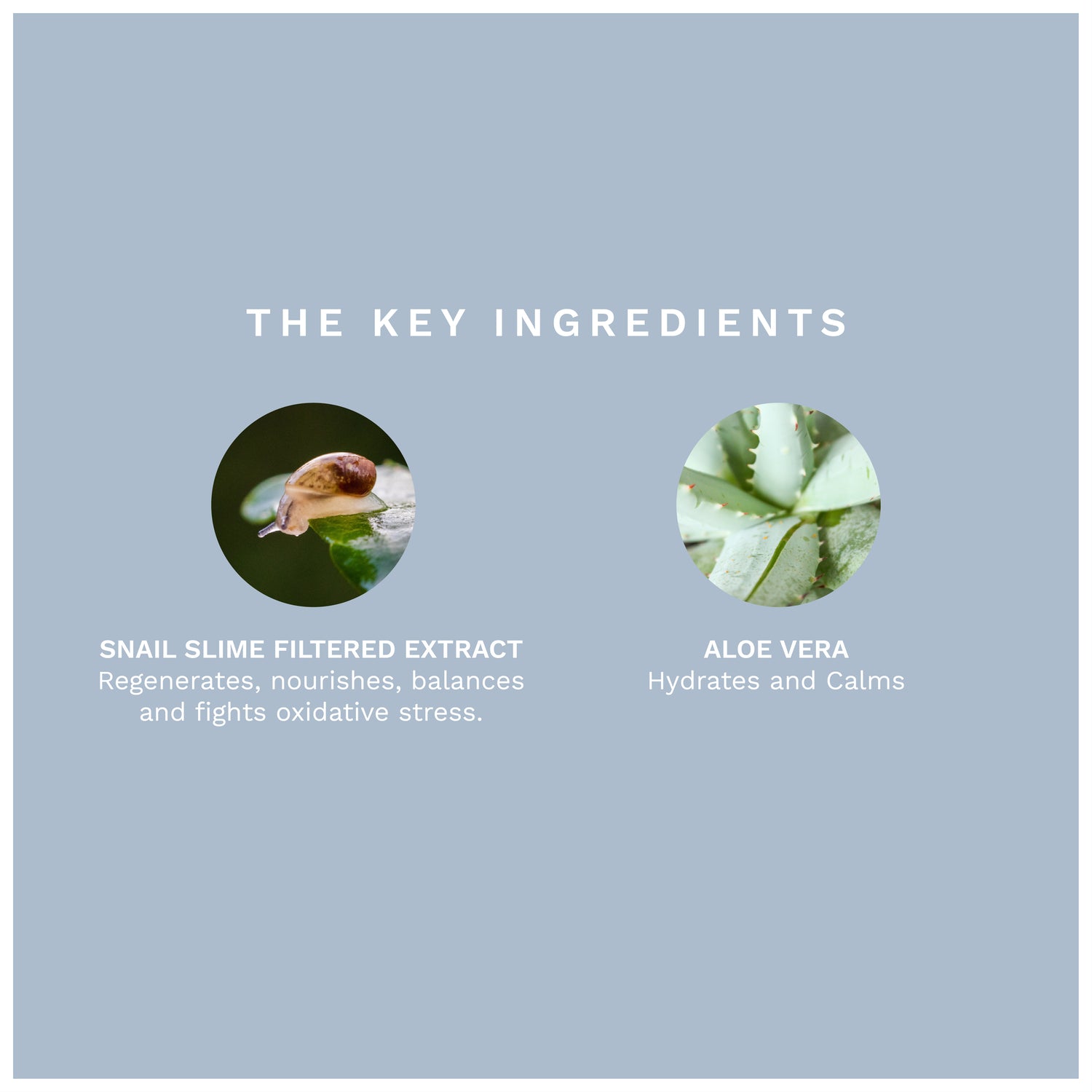 The gentle serum