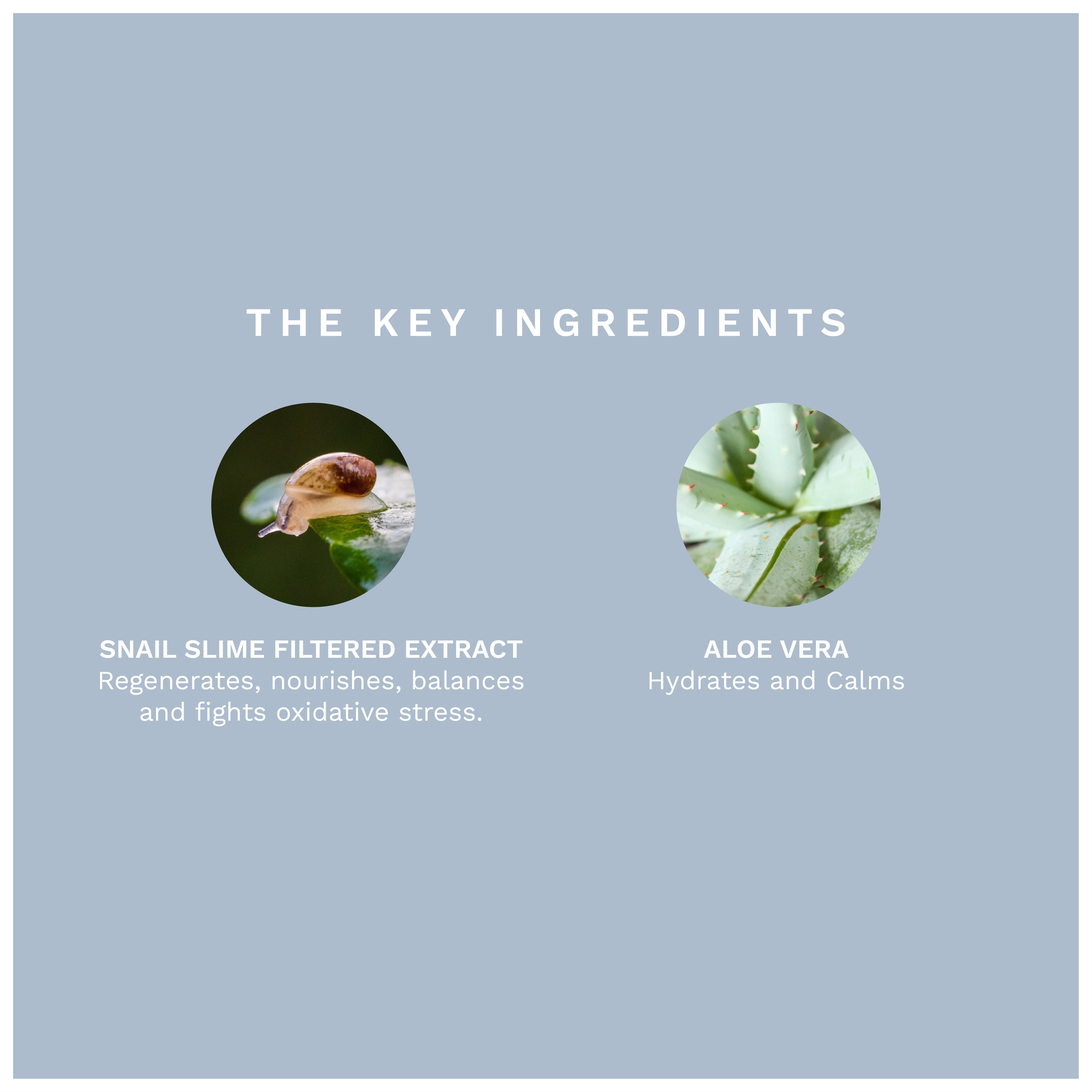 The gentle serum